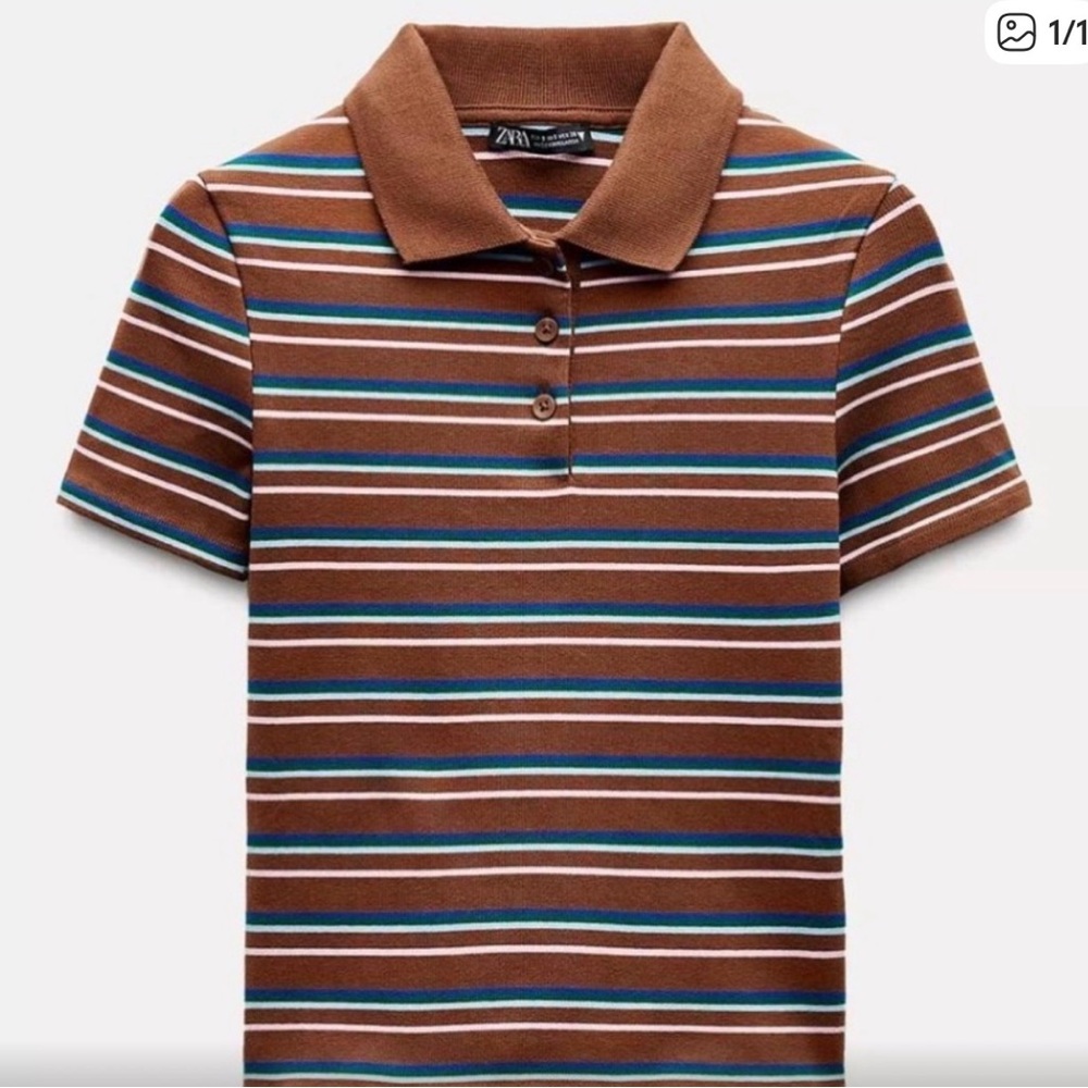 ZARA Brown Striped Polo Shirt